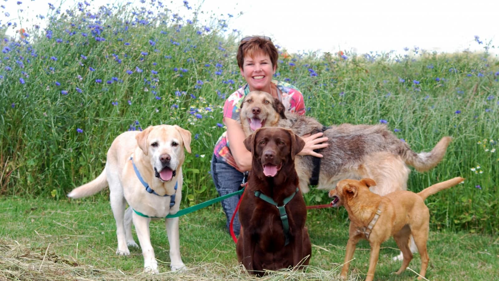 Britta Lücke von Brittas Hundeparadies & Family mit Hunden