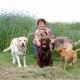 Britta Lücke von Brittas Hundeparadies & Family mit Hunden